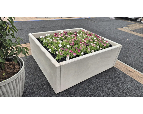 Quadratischer Betonblumenkasten mit Blumenbepflanzung.