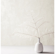 Dekorative Zimmerpflanze Farn in Vase
