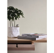 Nahaufnahme eines Holzschreibtischs mit Pflanze und Büchern