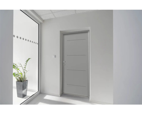 Graue Innentür in einem hellen Raum mit Pflanze im Topf