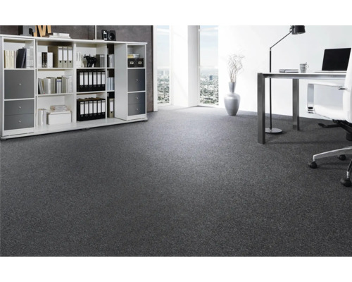 Büro mit grauer Auslegware, Schreibtisch und Regal