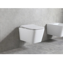 Wandhängendes WC mit Deckel und Bidet im Badezimmer