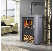 Kaminofen mit Holzscheiten in einem Wohnzimmer.