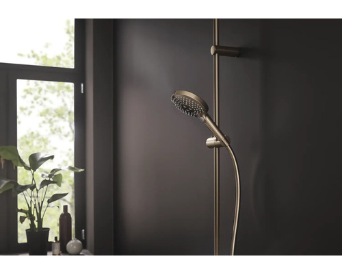 Brausegarnitur mit Handbrause und Brausestange im Badezimmer