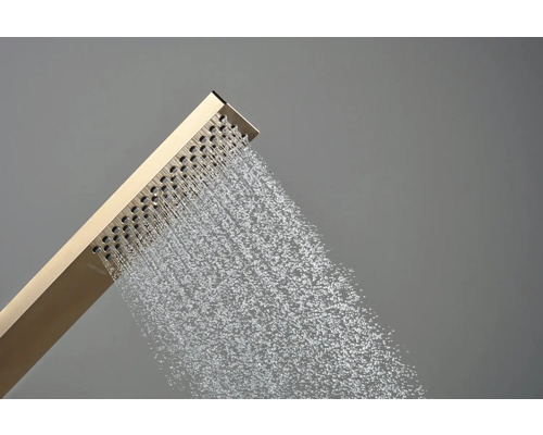 Brausekopf mit Wasserstrahl