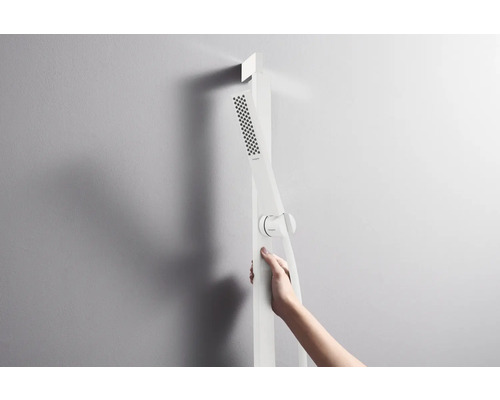 Brauseset mit Handbrause und Brausestange