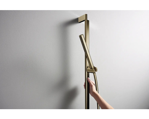 Brausestange mit Handbrause und Brauseschlauch an der Wand montiert