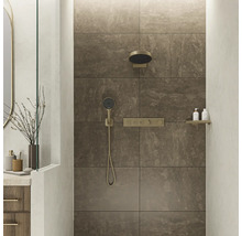 Begehbare Dusche mit Kopfbrause, Handbrause und Ablage