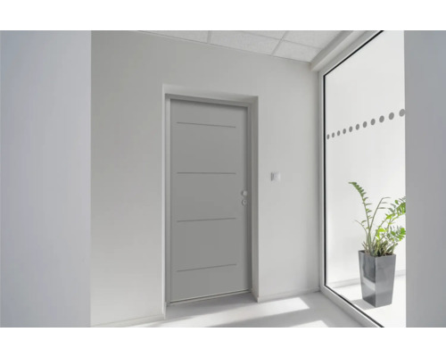 Innenraum mit Innentür mit Drückergarnitur und Fensterfront mit Zimmerpflanze