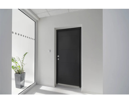 Flur mit Haustür, Fenster und Zimmerpflanze in einem Topf