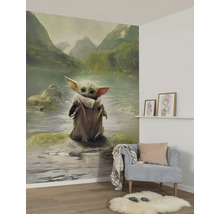 Wohnraum mit einer Fototapete mit dem Motiv des Charakters Grogu vor einer Berglandschaft