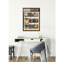 Poster mit einer praktischen Anleitung zur Zerstörung des Todessterns über einem Schreibtisch