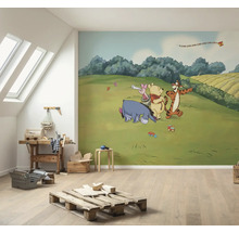 Raum mit Fototapete mit Winnie Puuh und seinen Freunden auf einer grünen Wiese