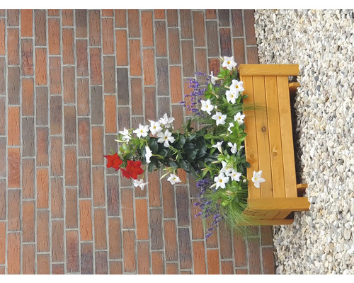 Promadino Pflanzkasten Romantica 80 Cm – Aus Kiefernholz, Honigbraun, Für Garten & Terrasse, Einfach Aufzubauen