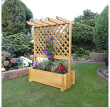 Holzpflanzkasten mit Rankgitter im Garten