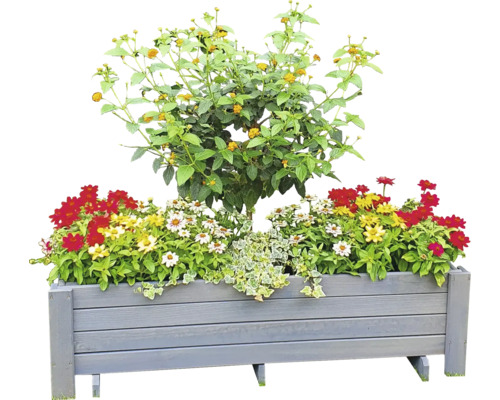 Bepflanzter Blumenkasten mit verschiedenen Blumen und Pflanzen