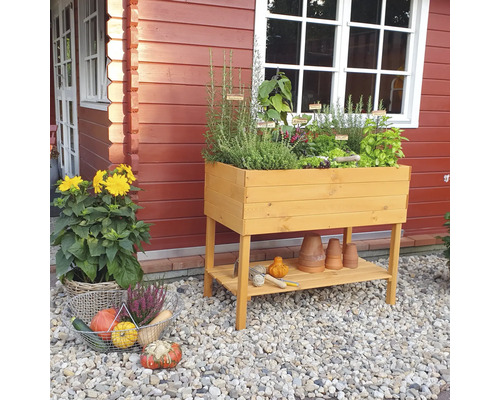 Hochbeet aus Holz mit Kräutern und Gemüse, Gartengeräte und Pflanzen