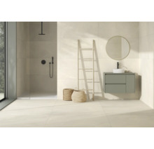 Modernes Badezimmer mit Dusche, Waschtisch, Spiegel und Deko-Leiter