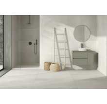 Modernes Badezimmer mit Dusche, Waschtisch, Spiegel und Dekoleiter