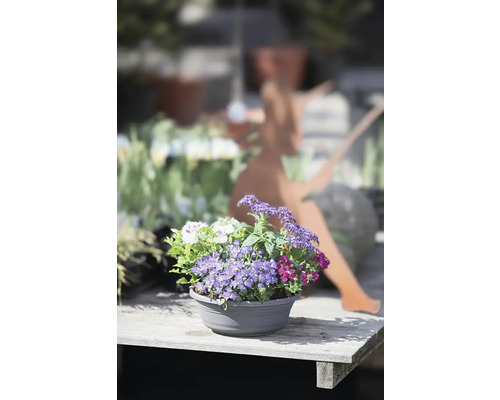 Blumentopf mit verschiedenen blühenden Pflanzen auf einem Holztisch