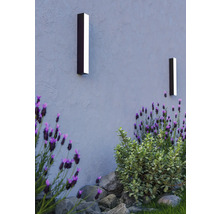 Zwei Wandleuchten beleuchten eine Wand im Außenbereich, umgeben von Pflanzen.