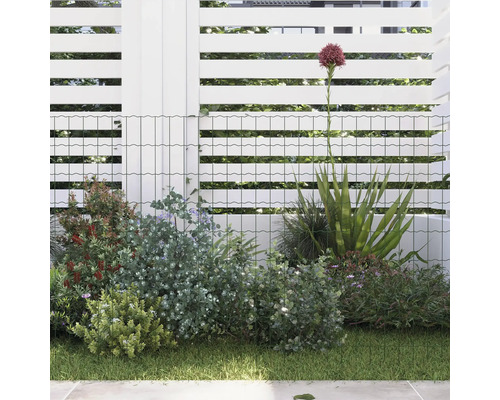 Gartenszene mit Zaun und üppiger Bepflanzung