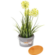 HORNBACH Mini Farbeimer für Gutscheine