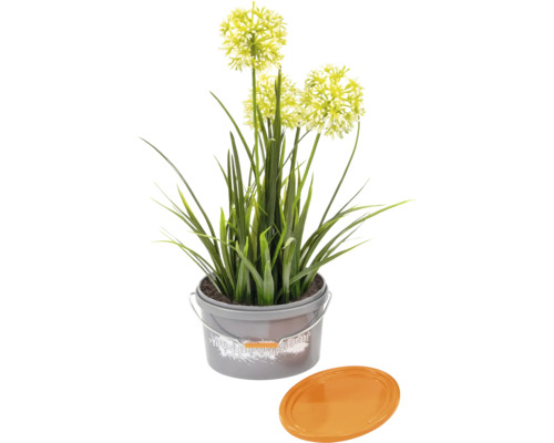 Kunstpflanze Zierlauch im Topf