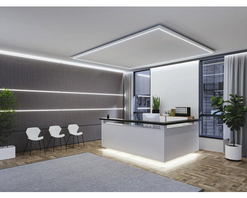 Empfangsbereich mit Rezeption, Stühlen, Teppich, Pflanzen und Beleuchtung