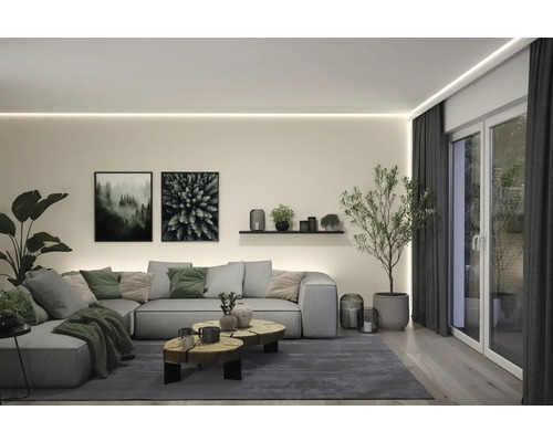 Helles Wohnzimmer mit Sofa, Couchtisch und Zimmerpflanzen