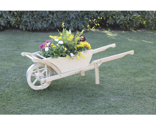 Dekorative Schubkarre aus Holz mit Blumen auf Rasen