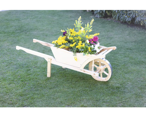 Holzschubkarre mit Blumen auf Rasen