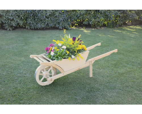 Dekorative Schubkarre aus Holz mit Blumen auf Rasen