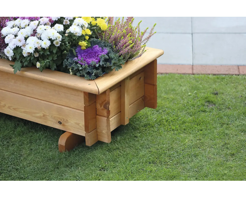 Holzpflanzkasten mit Blumen und Pflanzen