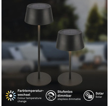 Zwei Solarleuchten für den Außenbereich
