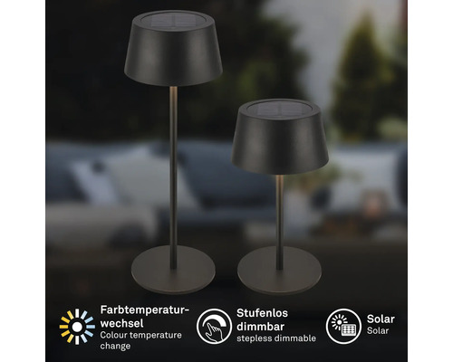Zwei Solarleuchten für den Außenbereich