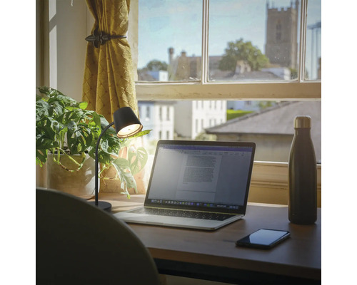 Schreibtisch mit Laptop, Lampe, Pflanze, Handy und Trinkflasche vor einem Fenster mit Blick auf eine Stadt.