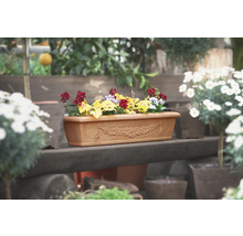 Blumenkasten mit saisonaler Bepflanzung auf einer Holzbank
