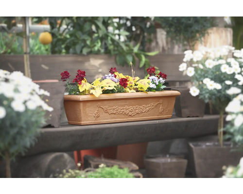 Blumenkasten mit saisonaler Bepflanzung auf einer Holzbank