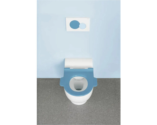 Toilette mit Toilettensitz und Betätigungsplatte