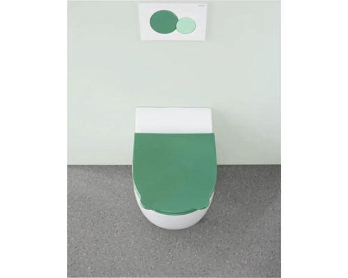 Toilette mit Betätigungsplatte im Badezimmer