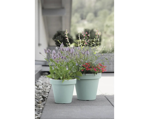 Zwei Blumentöpfe aus Kunststoff mit Pflanzen auf einer Terrasse