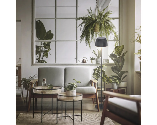 Wohnzimmer mit Sofa, Tischlampe und Zimmerpflanzen vor einem Fenster