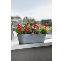 Blumenkasten mit verschiedenen Blumen im Außenbereich.