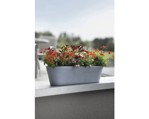 Blumenkasten mit verschiedenen Blumen im Außenbereich.