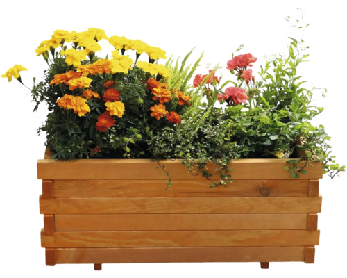 Holzblumenkasten bepflanzt mit Ringelblumen und Geranien