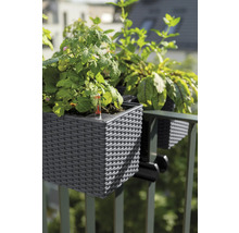 Blumenkasten Lechuza Balconera Cottage Kunststoff 50x19x19 cm granit inkl. Erdbewässerungssystem und Wasserstandsanzeiger