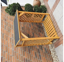 Kaminholzunterstand Speyer 119,5 x 68 x 148 cm honigbraun