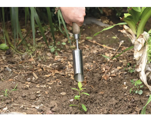Person pflanzt Setzling mit einem Pflanzenholz in den Boden.