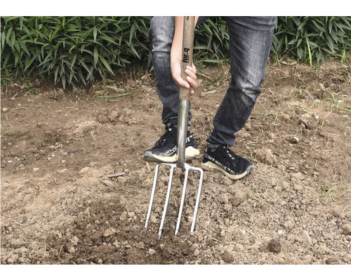 Person, die einen Spaten mit vier Zinken in den Boden sticht, für die Gartenarbeit